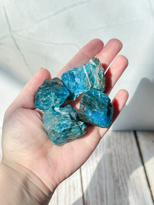 Small Raw Blue Apatite Specimen Pieces