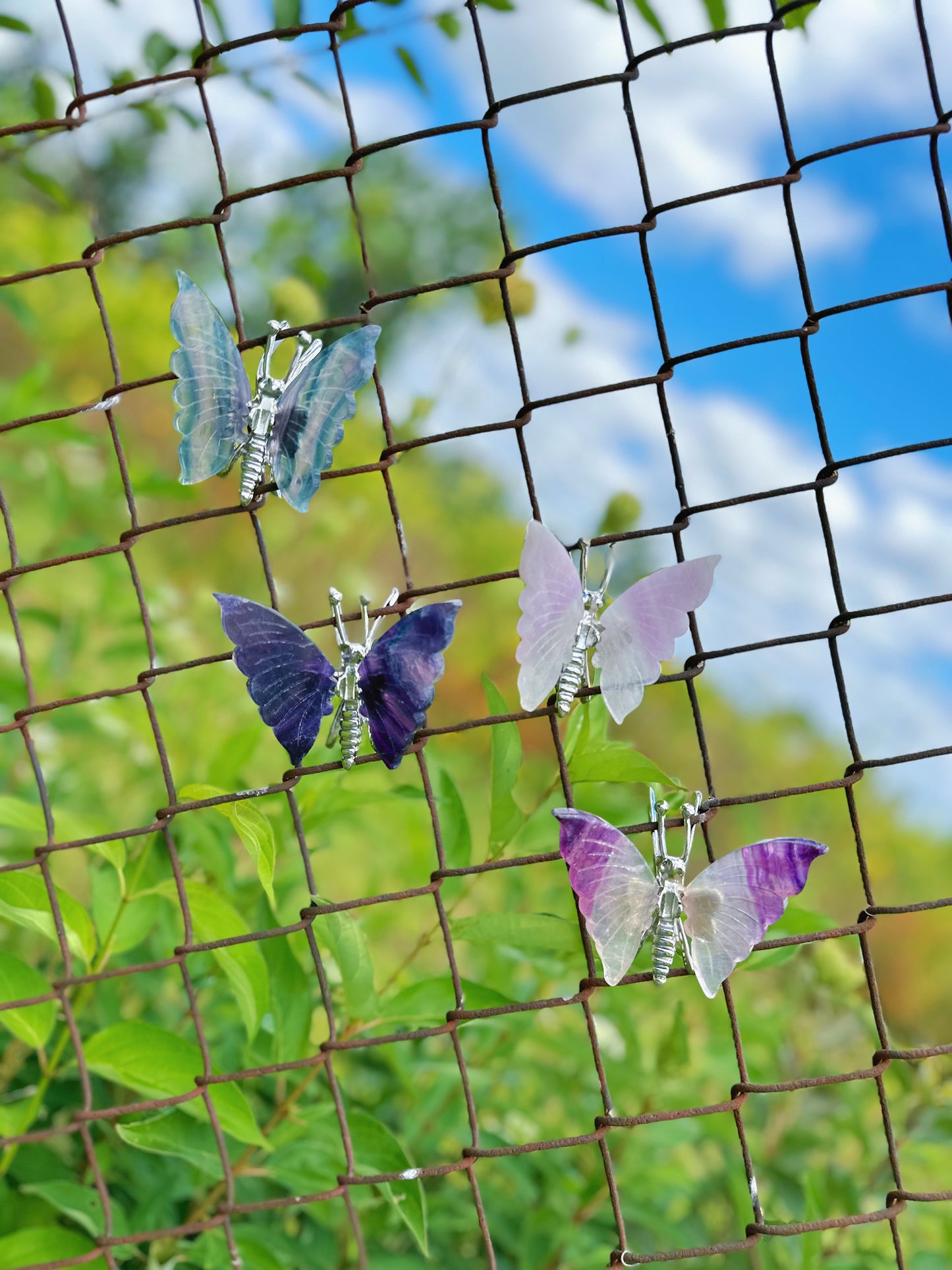 Fluorite Butterflies