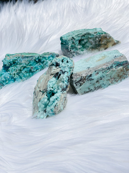 Druzy Chrysocolla with Dendrite Specimen